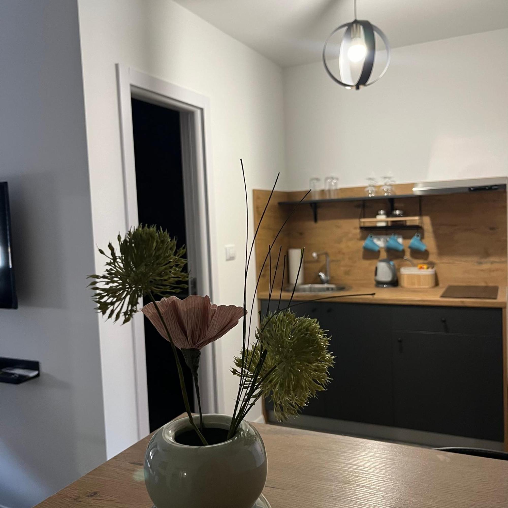 Beoair Apartments Surčin Εξωτερικό φωτογραφία